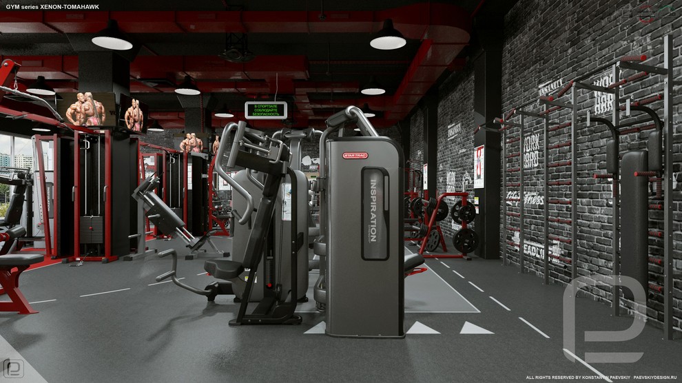 Тренажерный зал GYM series XENON-TOMAHAWK