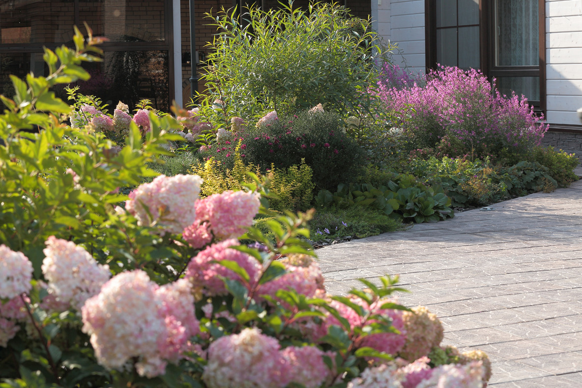 Хвойный миксбордер