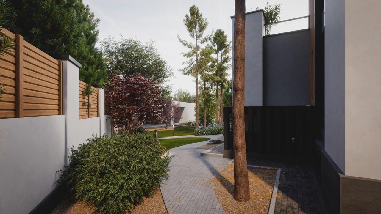 Завораживающий лес