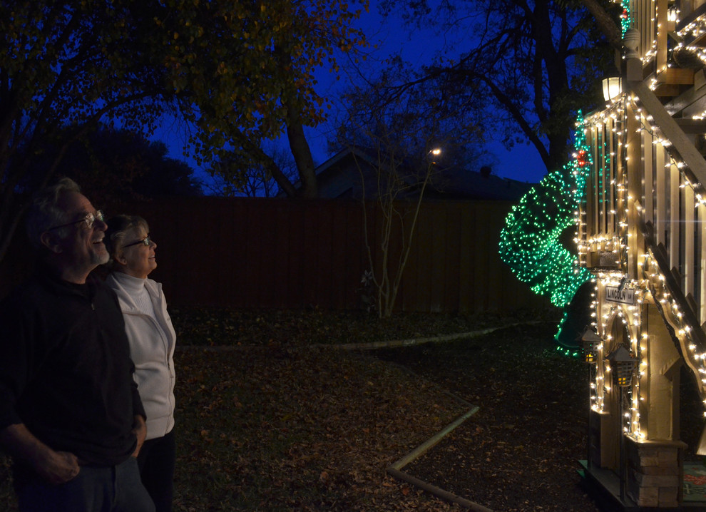 Houzz США: Волшебный дом на дереве с новогодними огнями