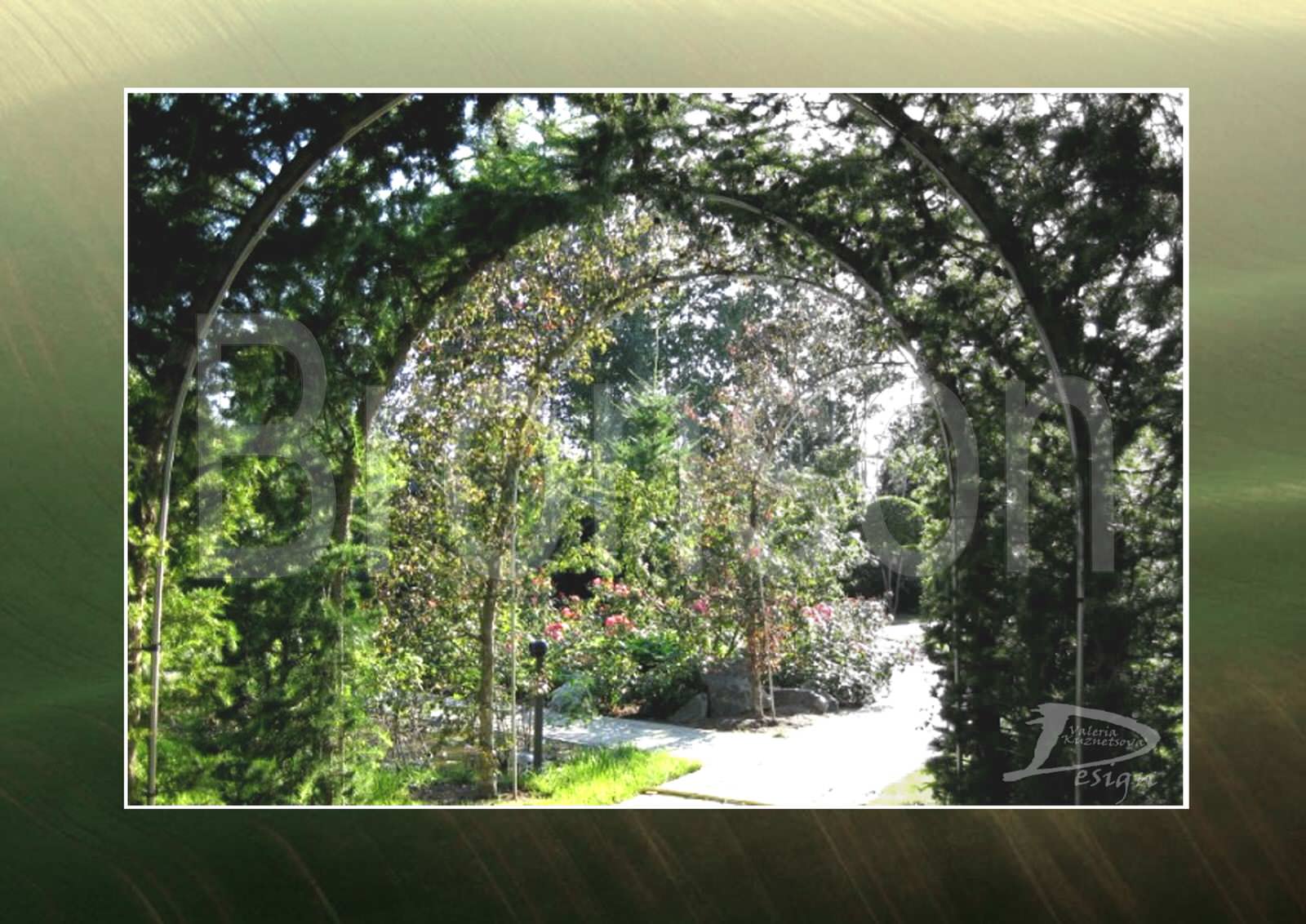 Реализованные проекты