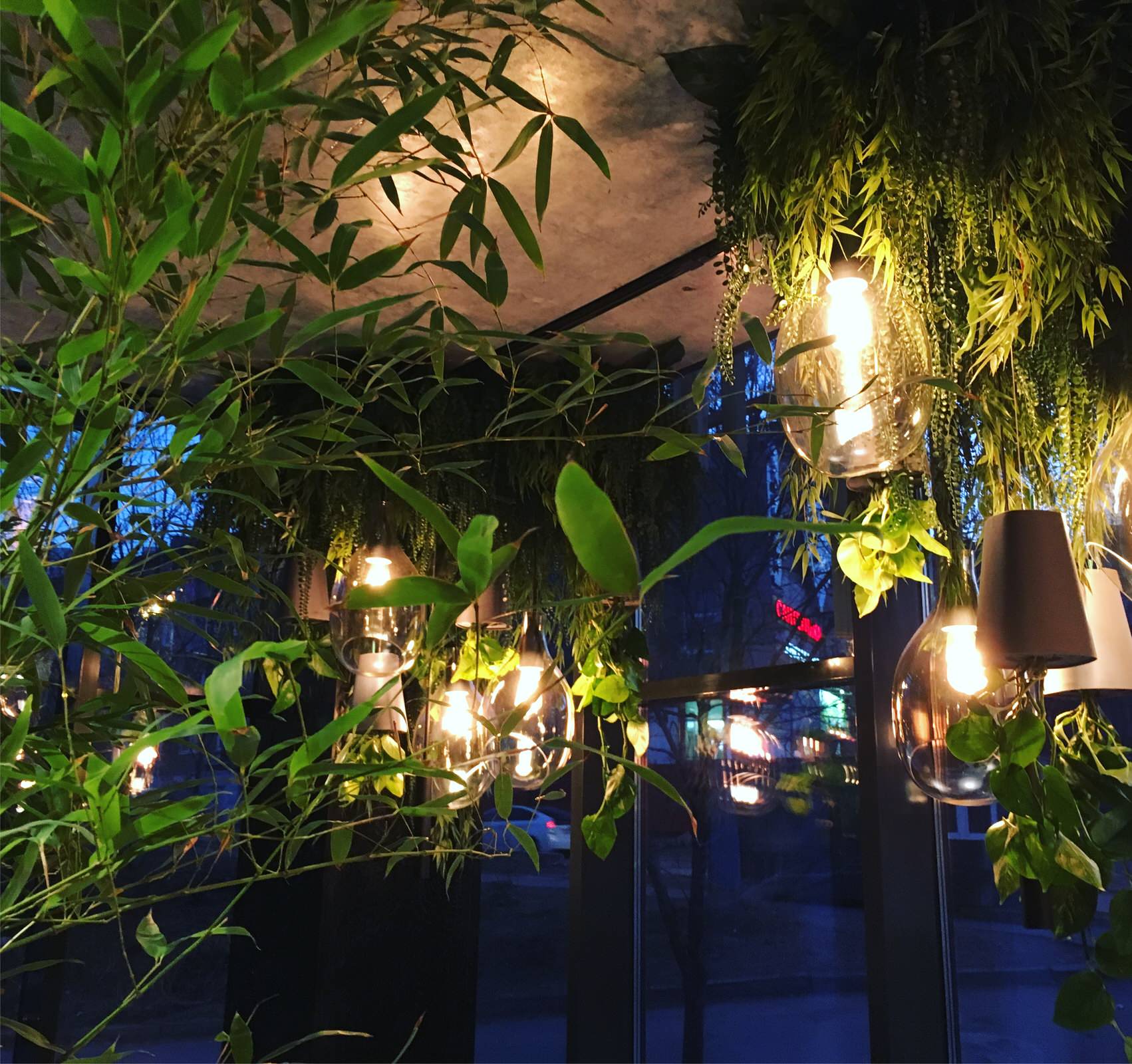 Обложка проекта: Озеленение ресторана Токио Море г. Владивосток