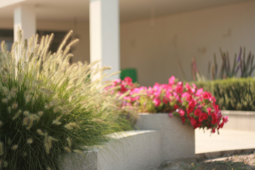 landscape design - Kirovskoe_Dnepropetrovsk region