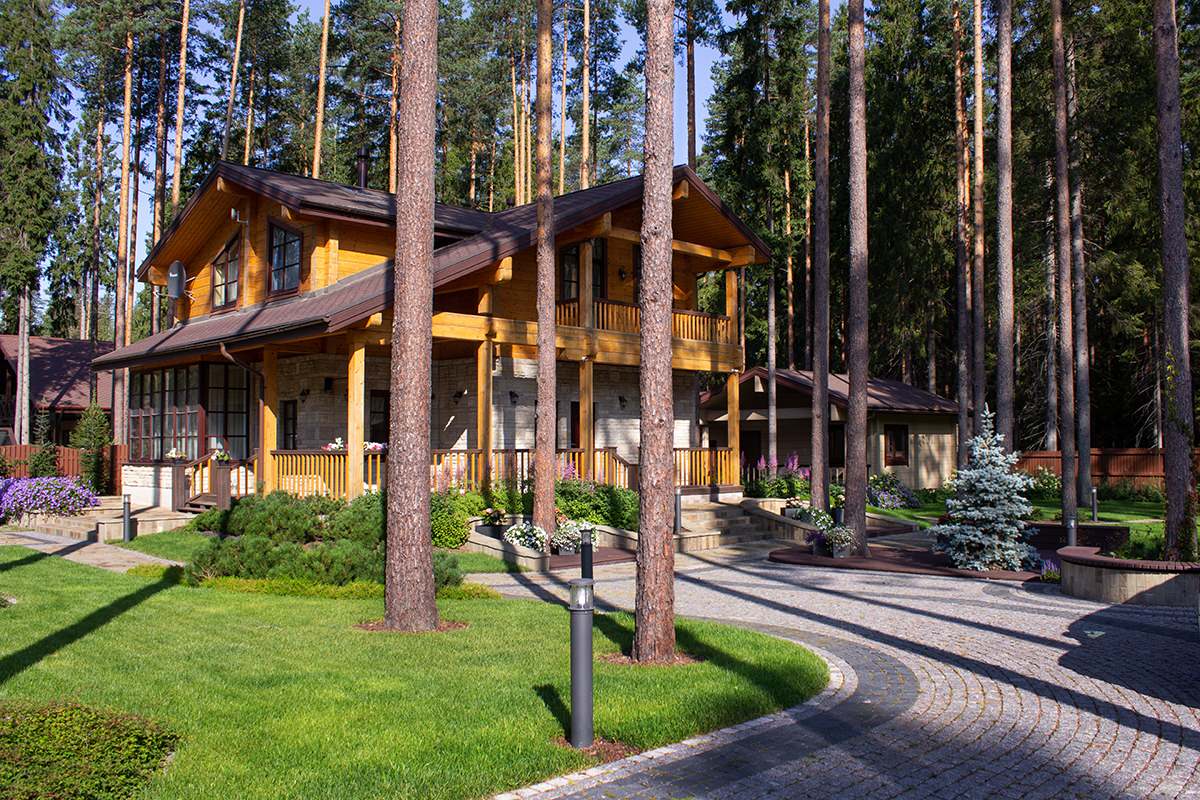 Еловая аллея