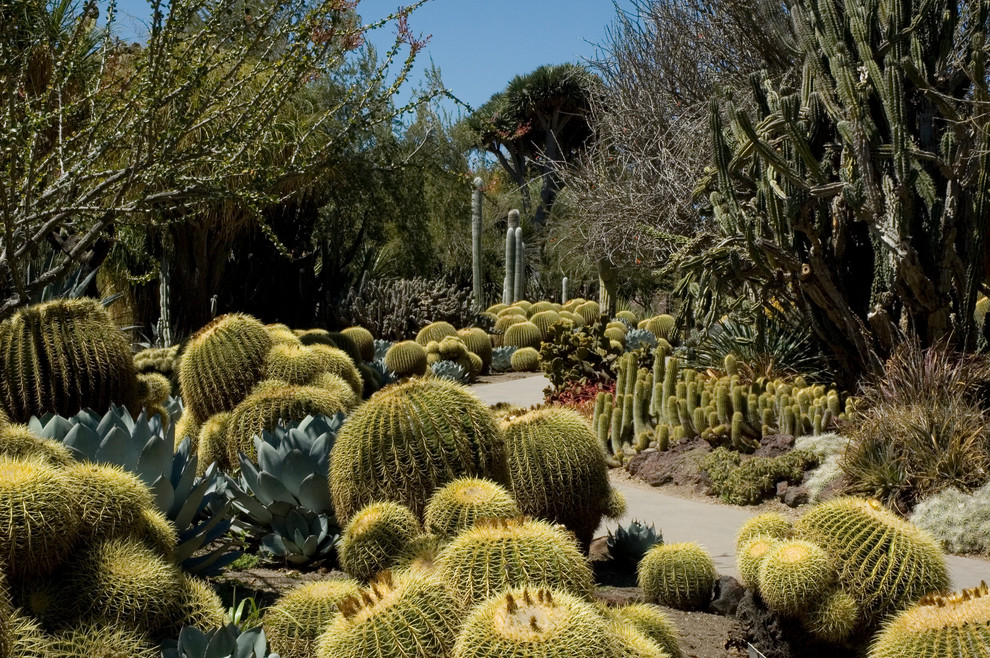 Прогулка на диване: 10 удивительных парков и садов мира