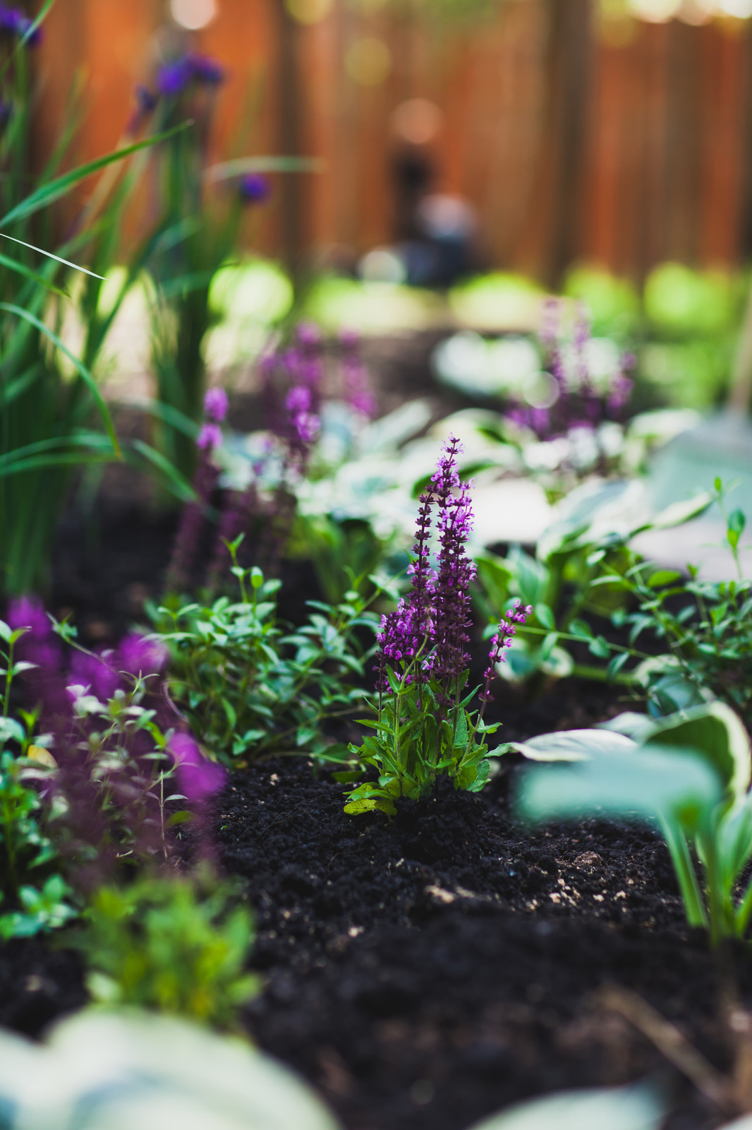 Дачный минимализм. В рамках программы "Идеальный ремонт" у Татьяны Лютаевой