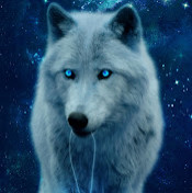 Станислав Чесноков