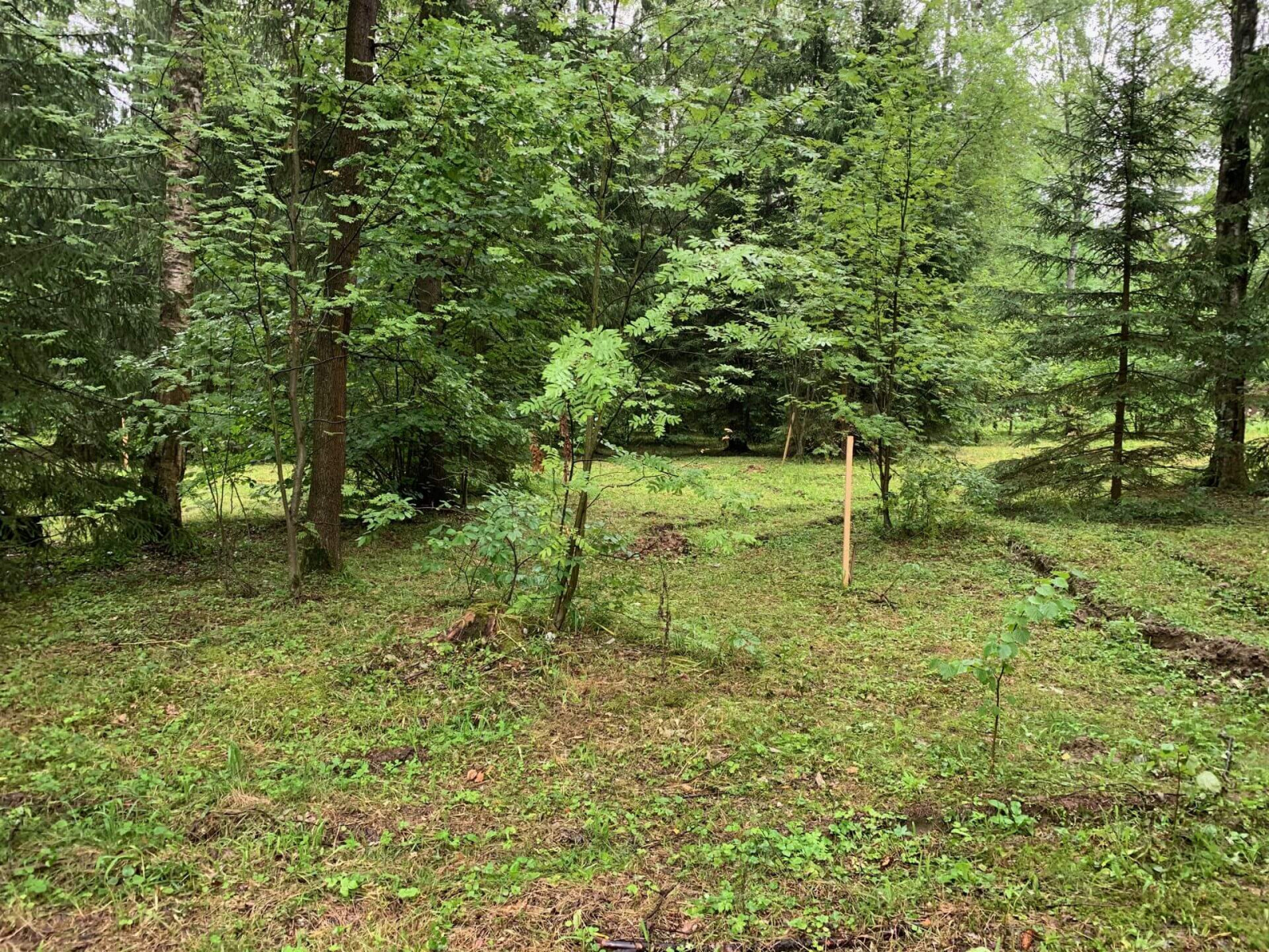 Участок до начала строительства