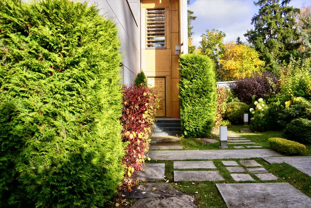 гравитация