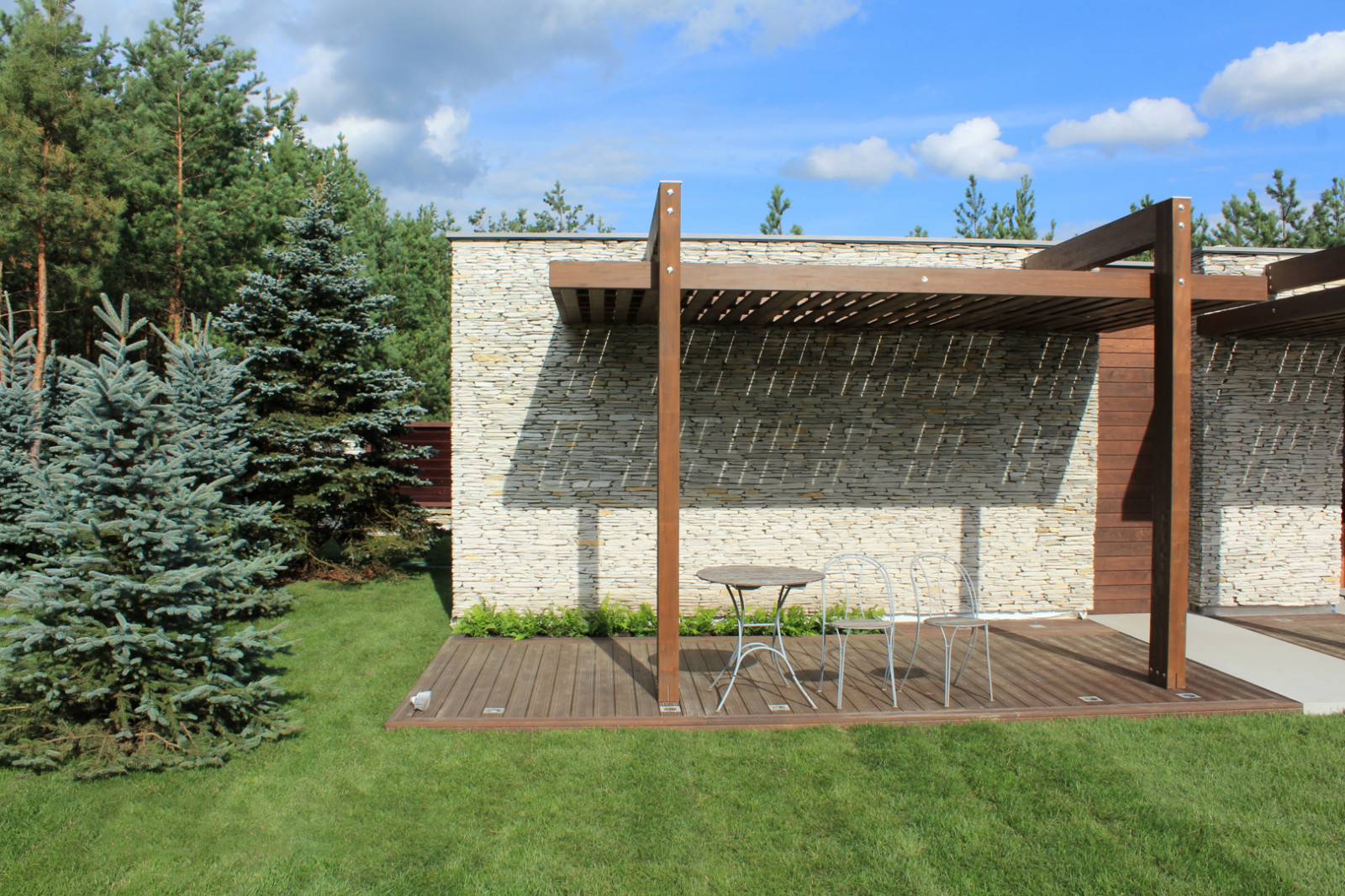 Черноголовка