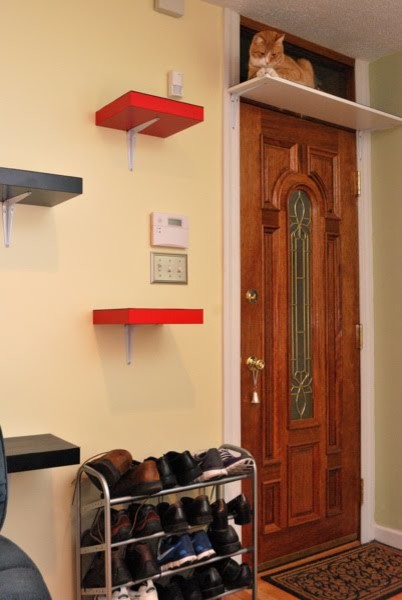 Обложка проекта: Catification