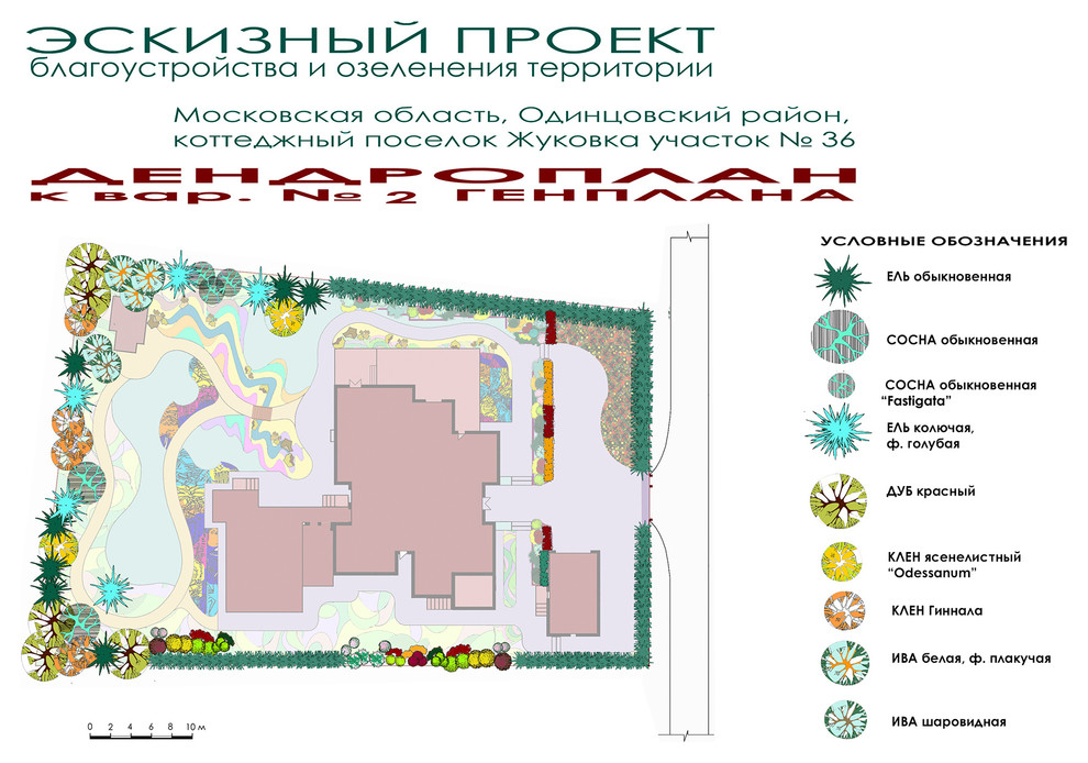 Проект ландшафтного дизайна участка - дендроплан к генплану № 2