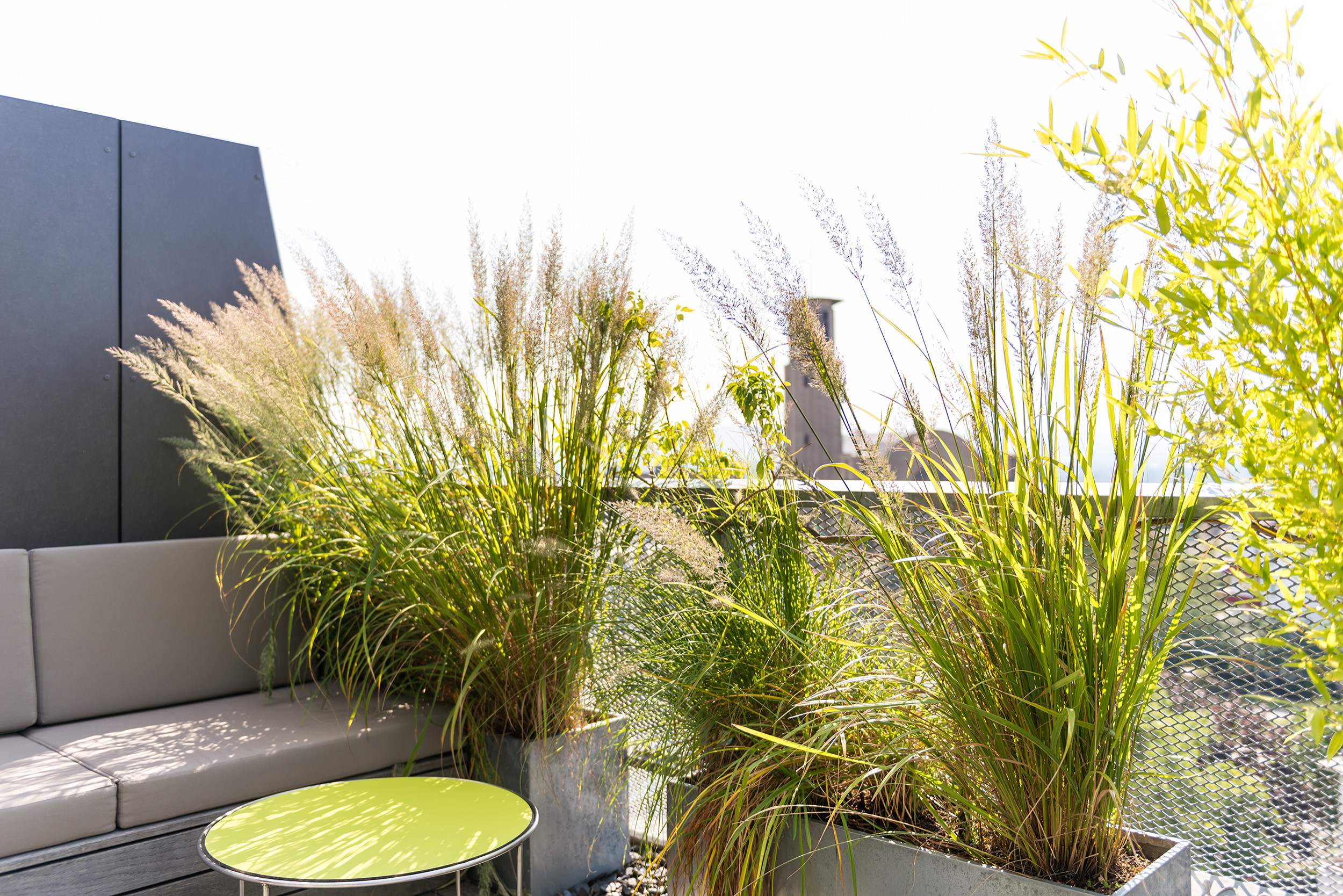 Houzz Австрия: Террасы с мини-огородом и душем на крыше