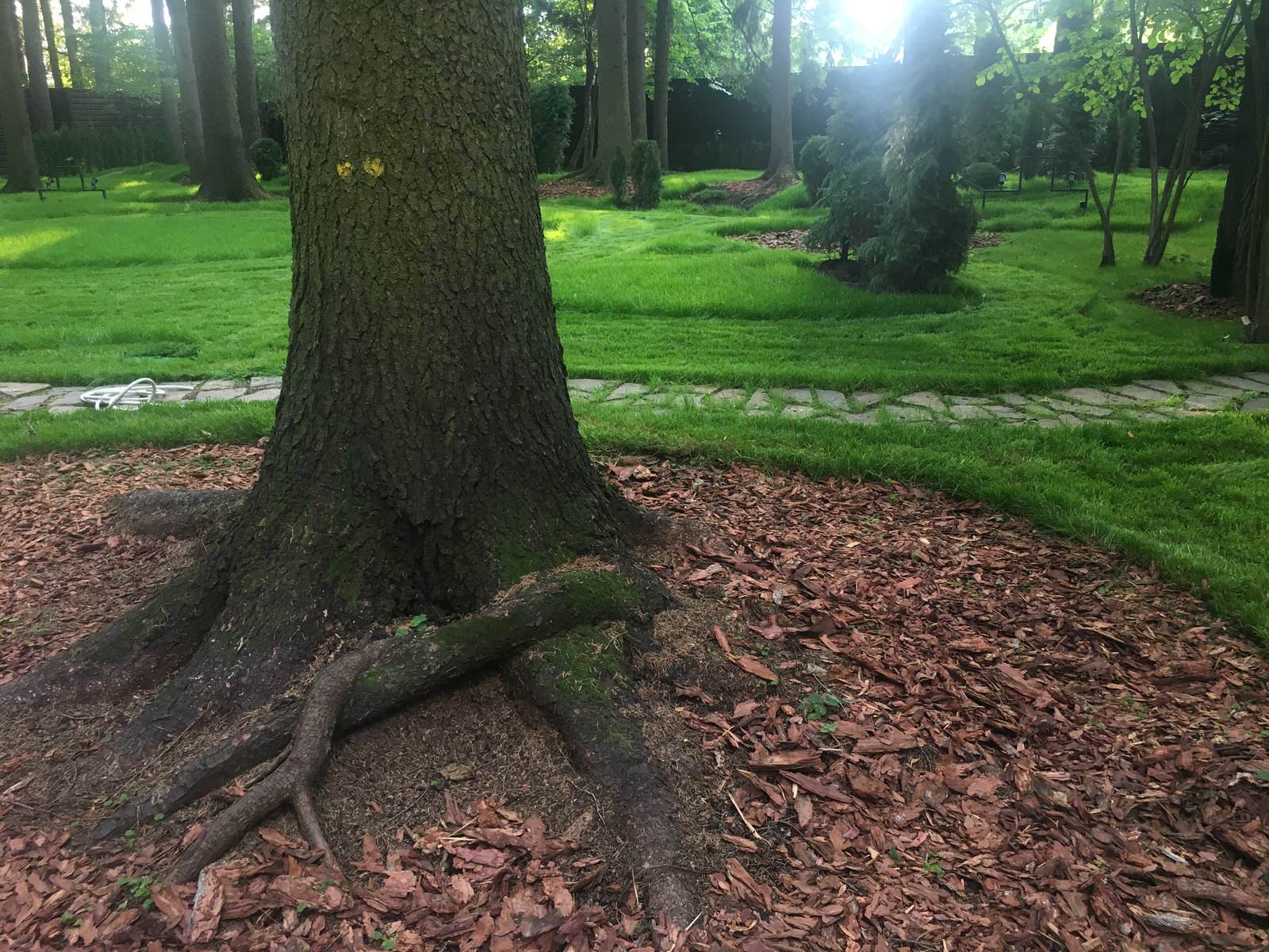 Проект Грибово