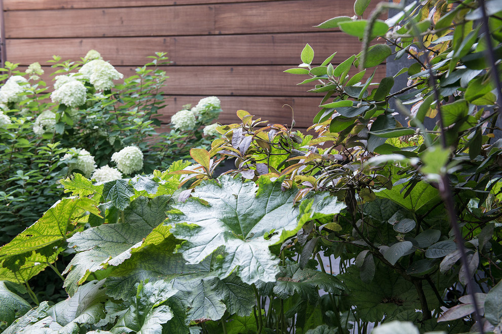 Сад с японским характером в КП Ландшафт