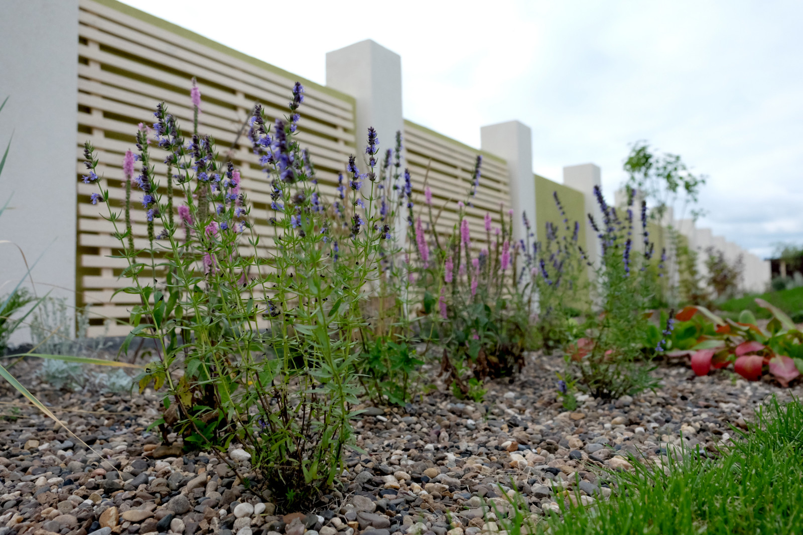 ДЫХАНИЕ ВЕТРА