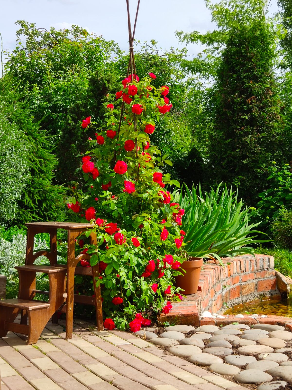 "Экспериментальный" сад любителя растений