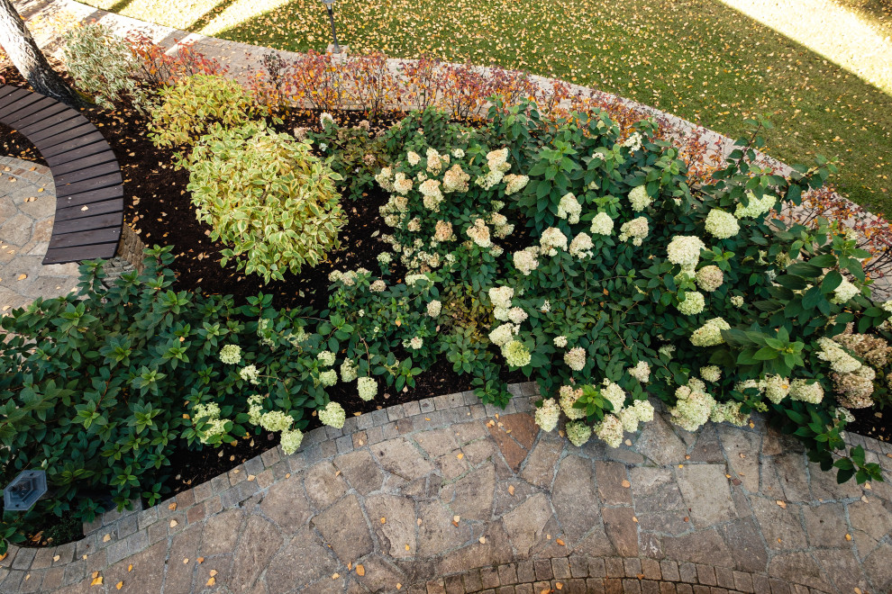 У леса на опушке