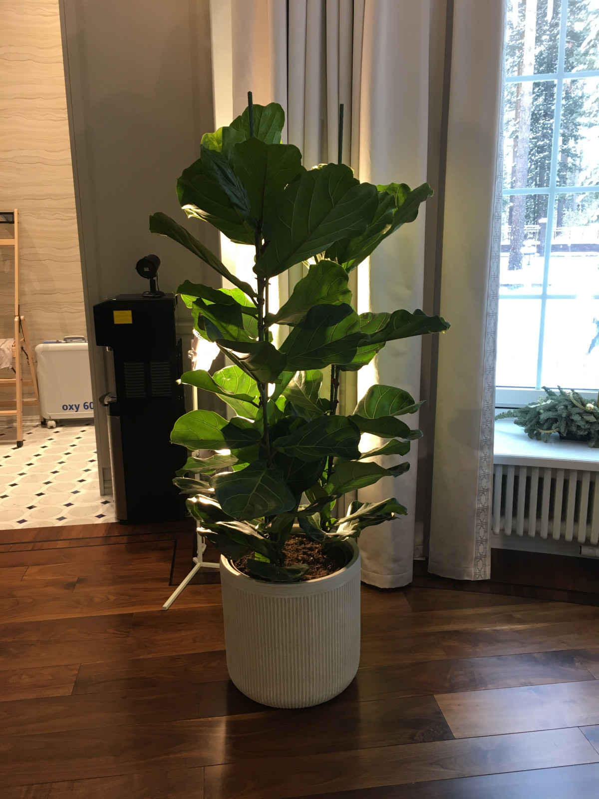 частные аппартаменты