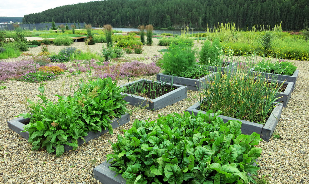 Полынный берег