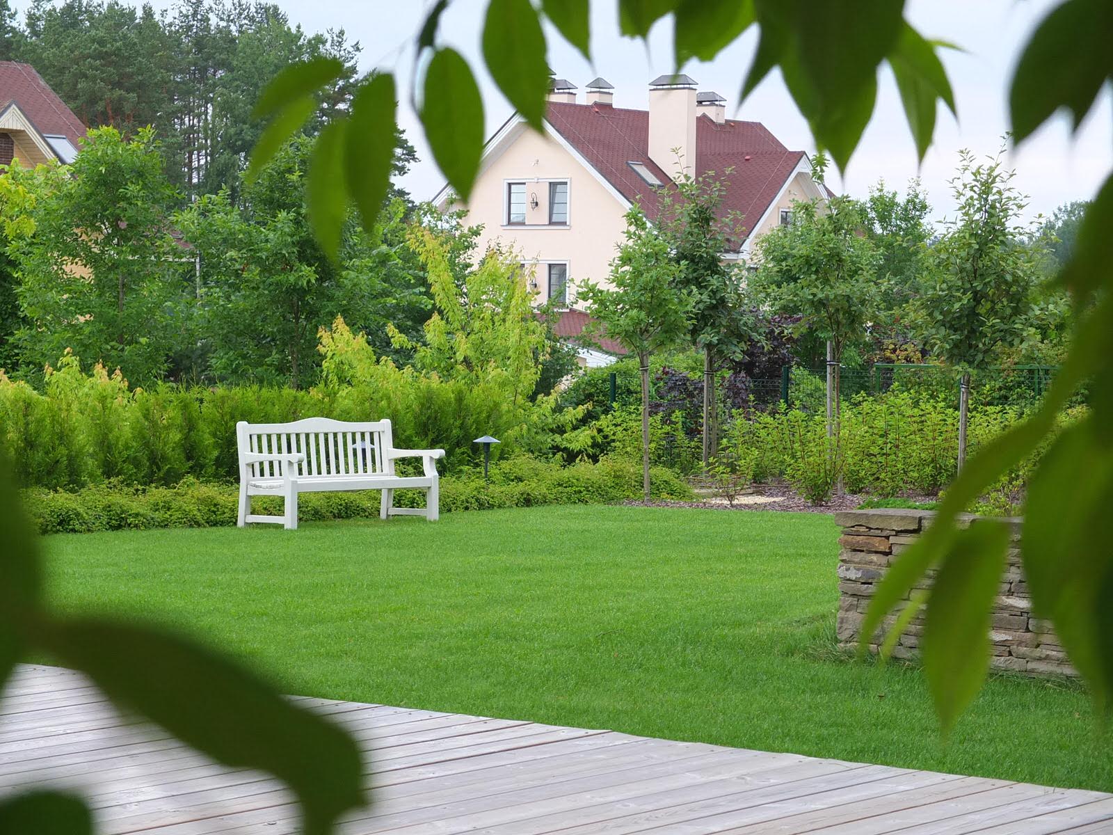 Поляна у дека и летней кухни