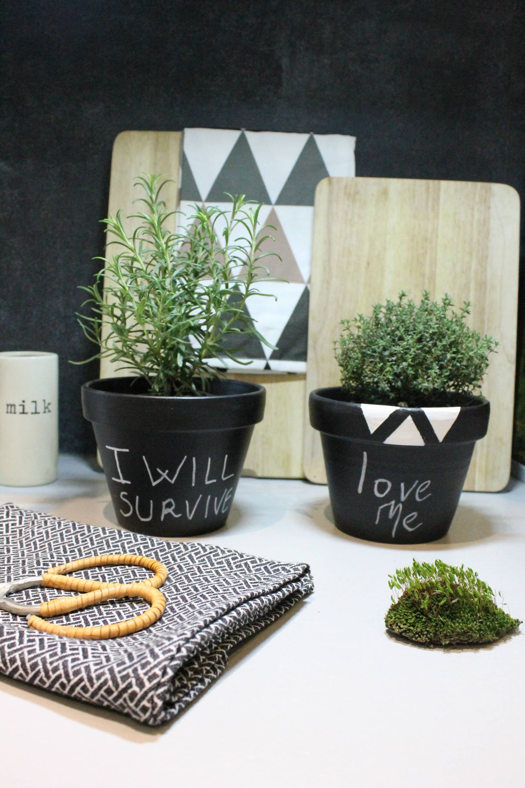 Цветы на подоконнике: 12 идей, как расставить их по правилам декора