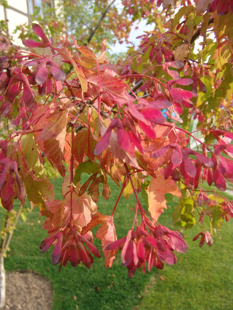 Поселок Европа Баварский квартал