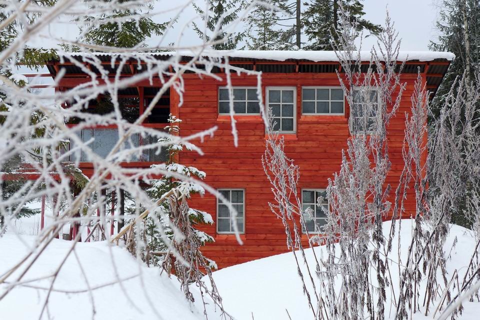 Дом с ёлкой 45 кв.м.