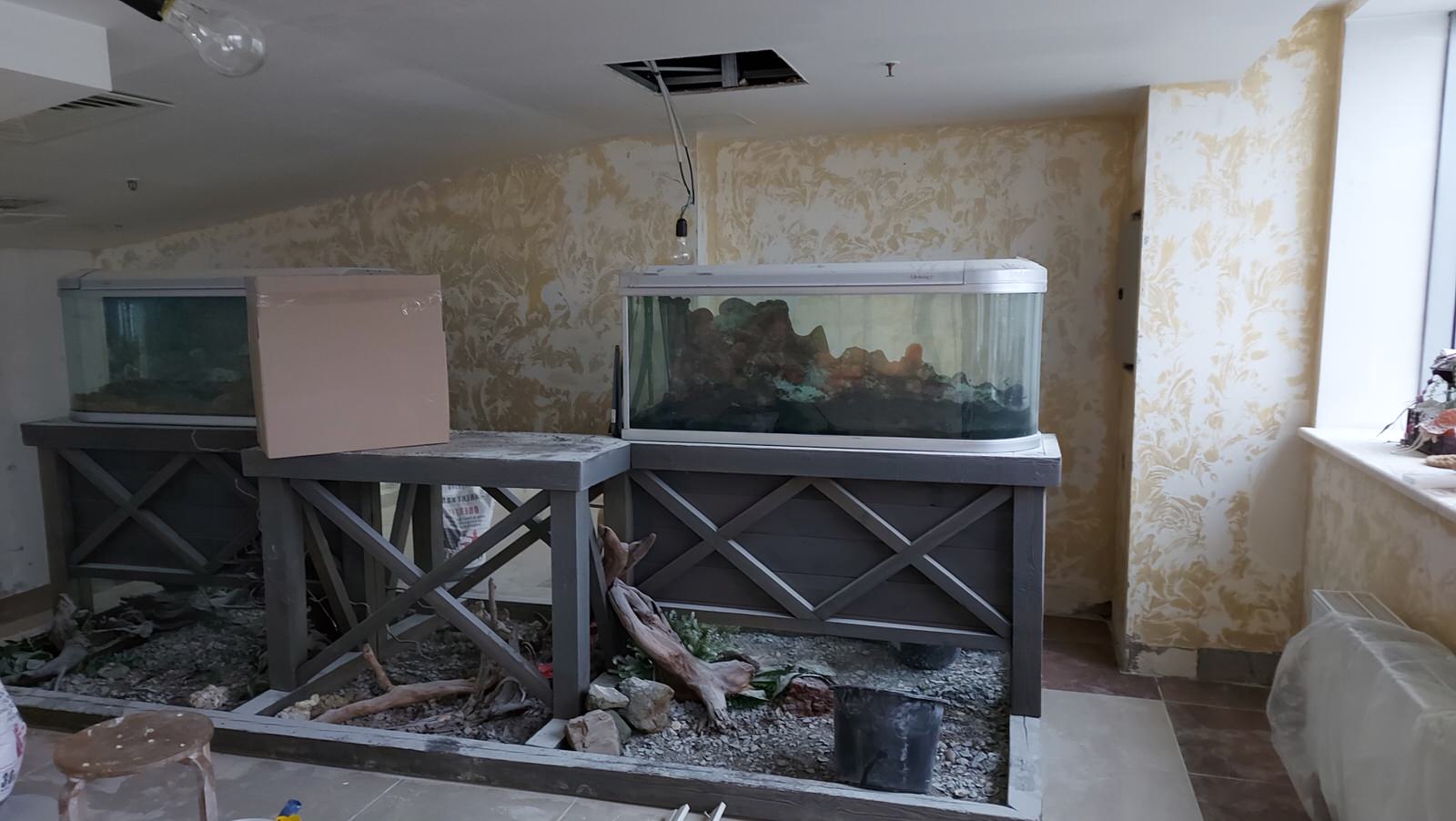 Салат-бар, 2020 г.