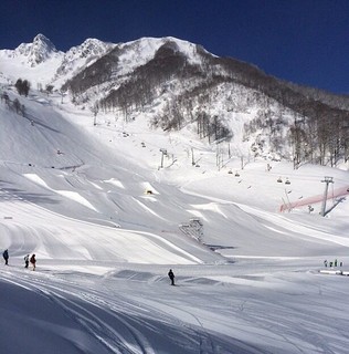 Ксения Панова