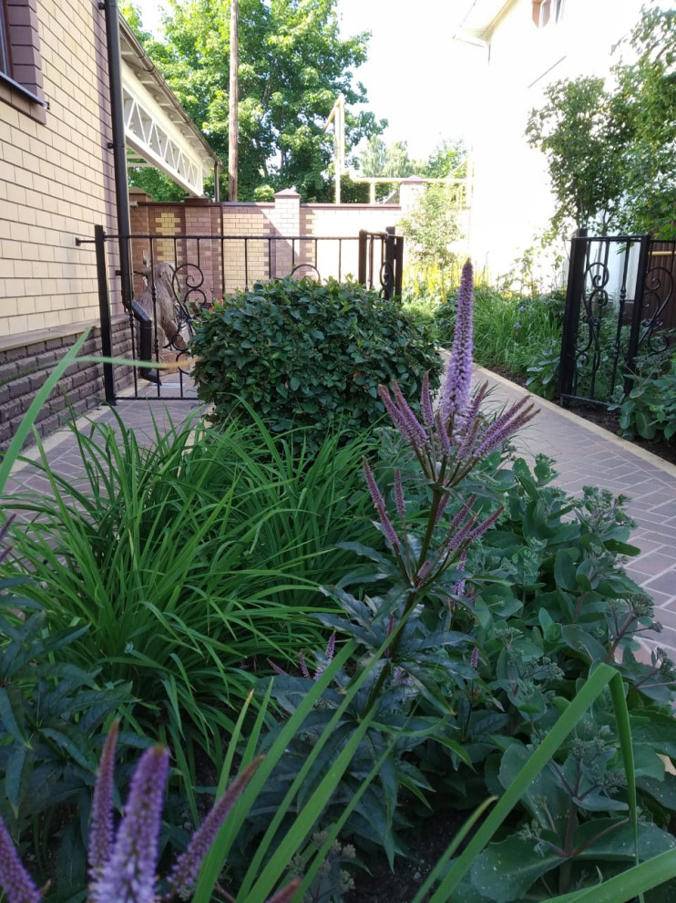 Сад в розовой дымке