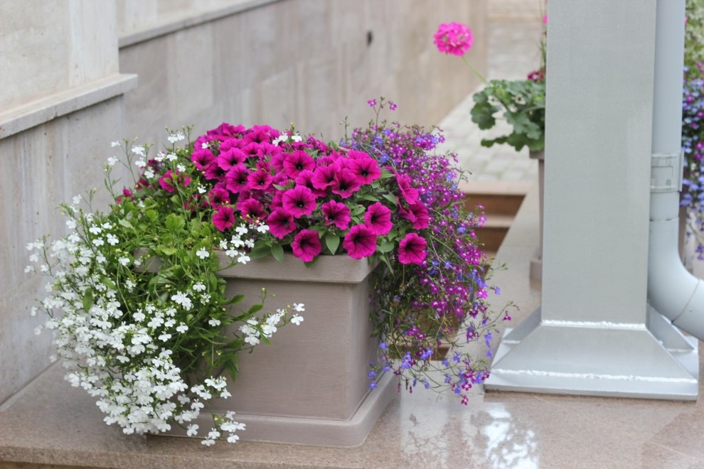 Проект недели: Кадочное озеленение в подмосковных Раздорах