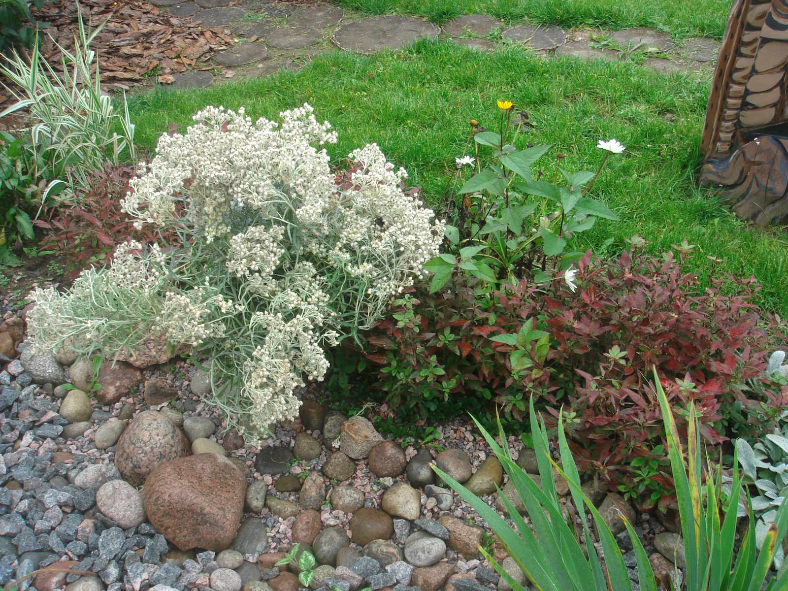 Сад в стиле кантри