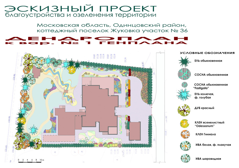 Ландшафтный дизайн участка 10 соток - дендроплан к генплану № 1