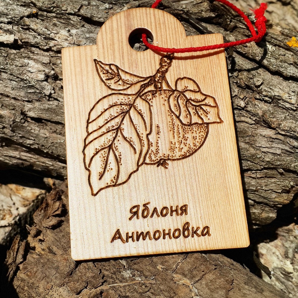 Идеи modnyegriadki