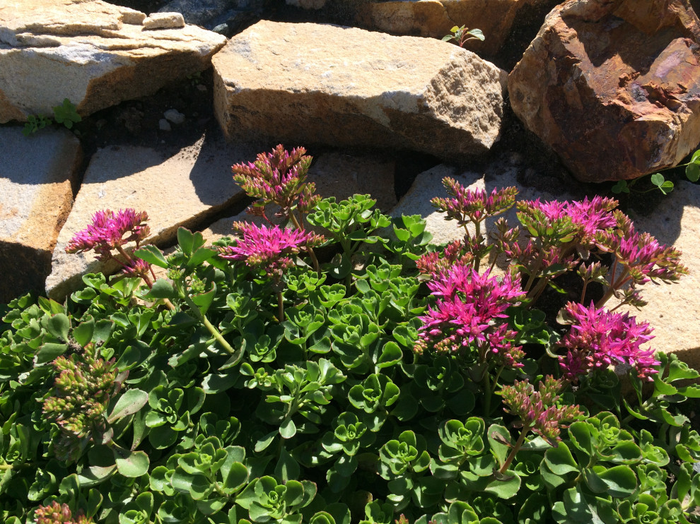 Медведевский район Марий Эл. Притягательность воды и камня
