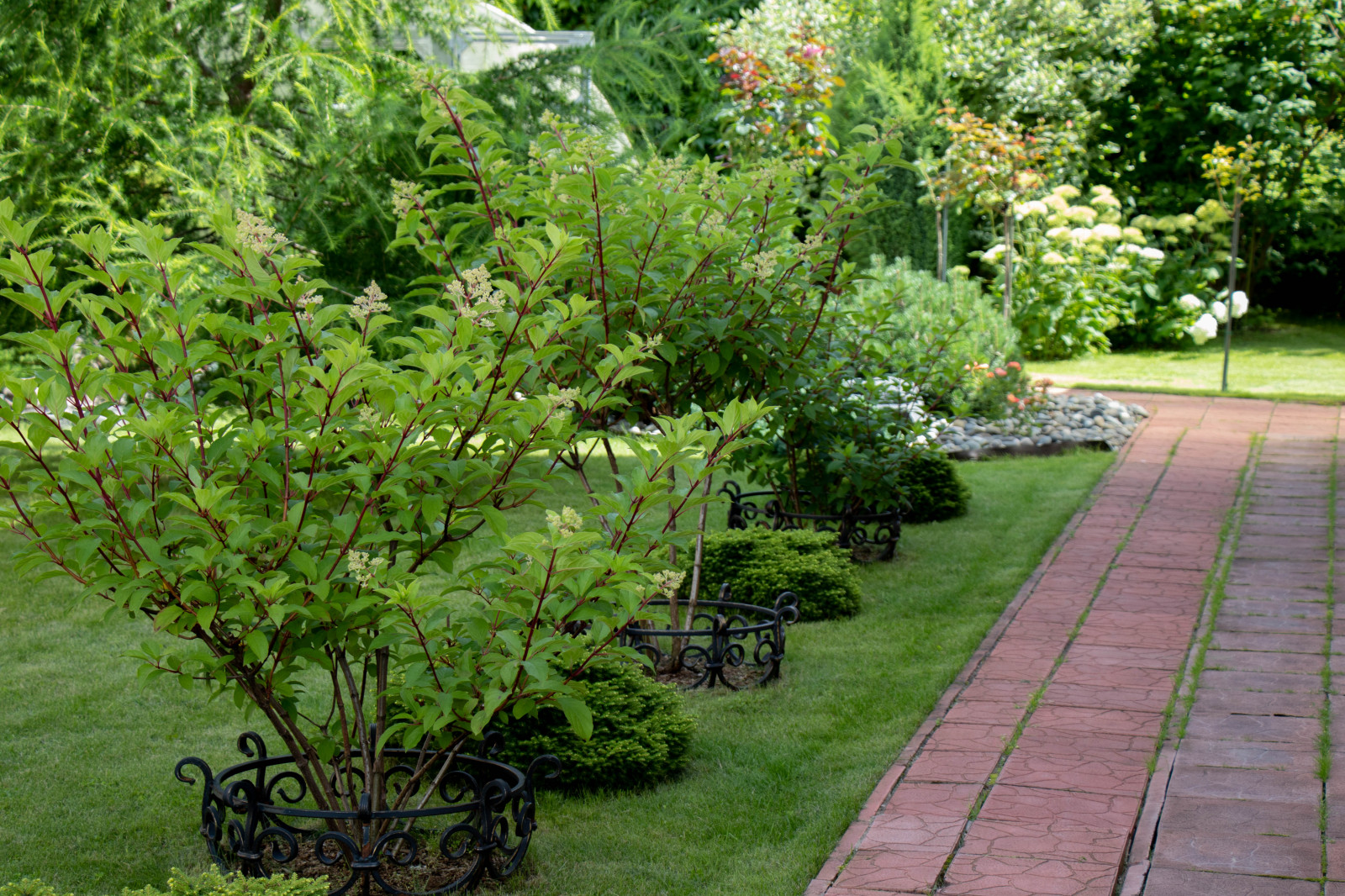 Французский садик в поселке Рыбаки Дмитровское шоссе