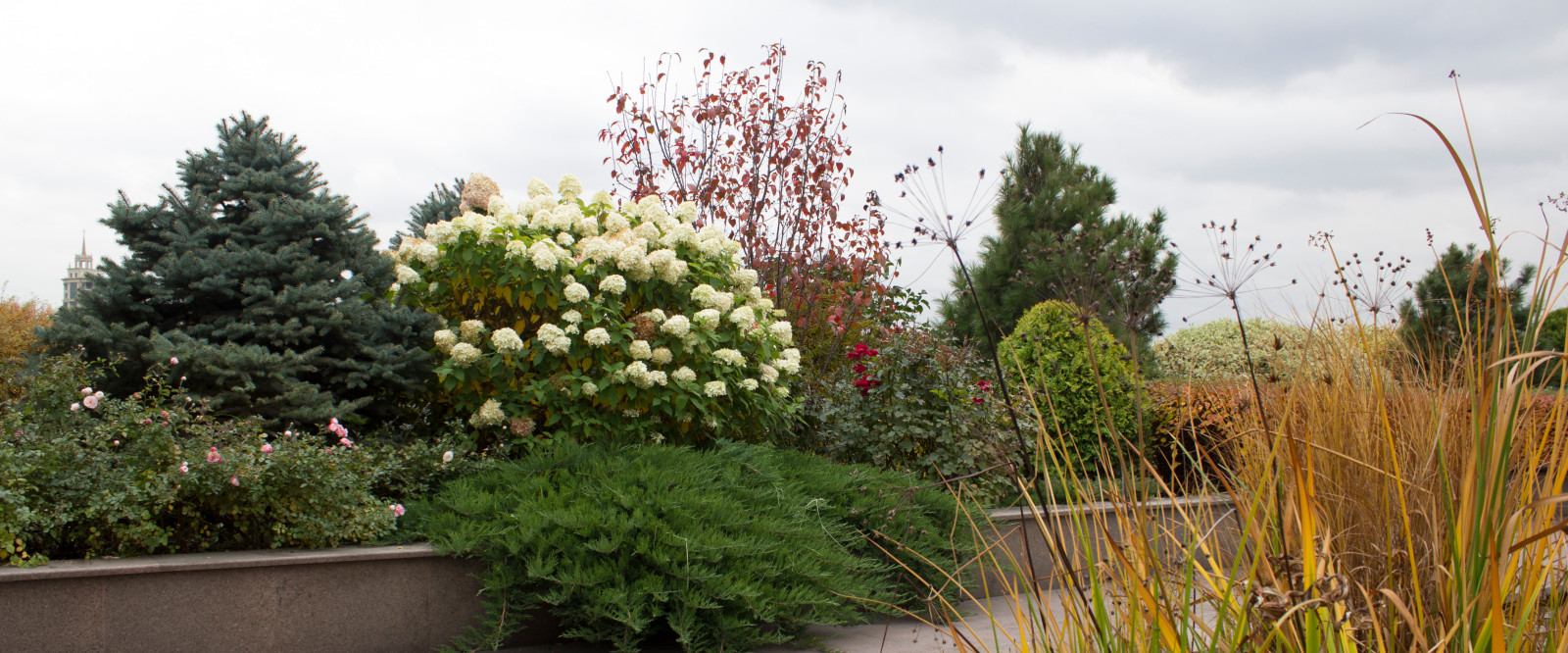 Большой сад на крыше