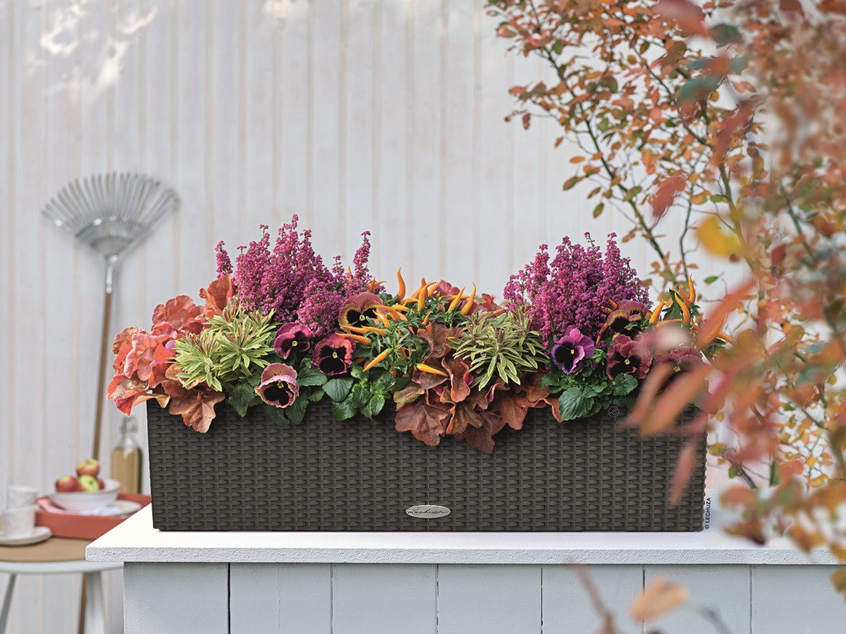 Загородная атмосфера: кашпо LECHUZA с плетеной текстурой