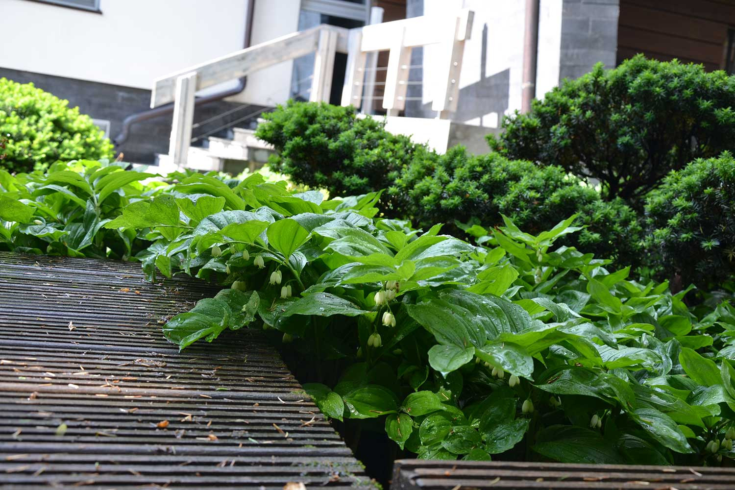 Сад с японским характером в КП Ландшафт