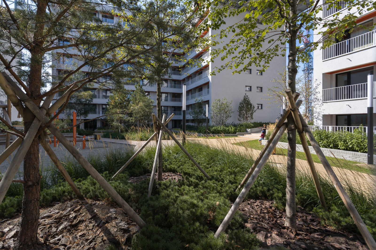 Анна Ильиных