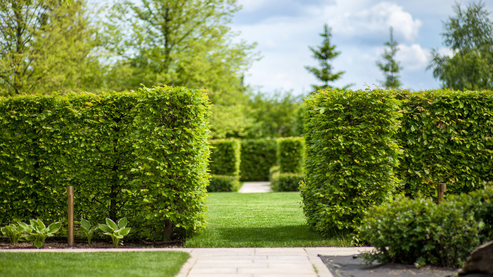 Обложка альбома: САД