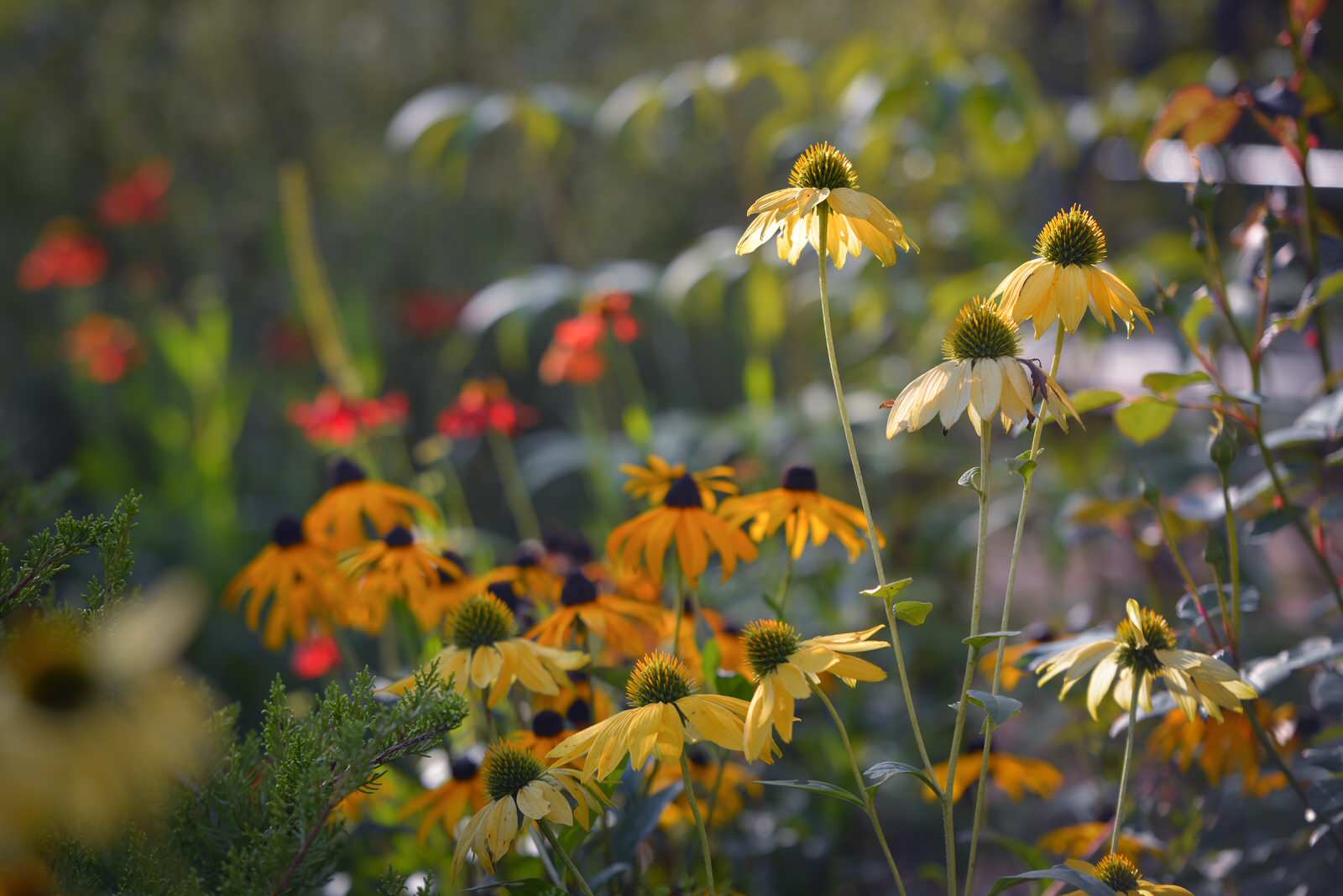 Английская история