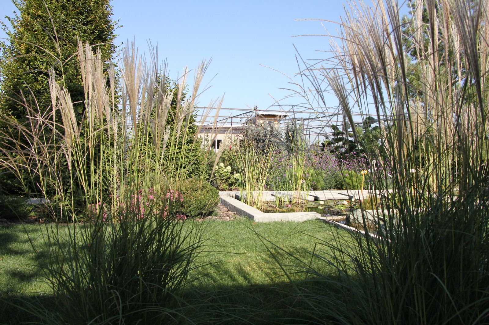 Сад в современном стиле