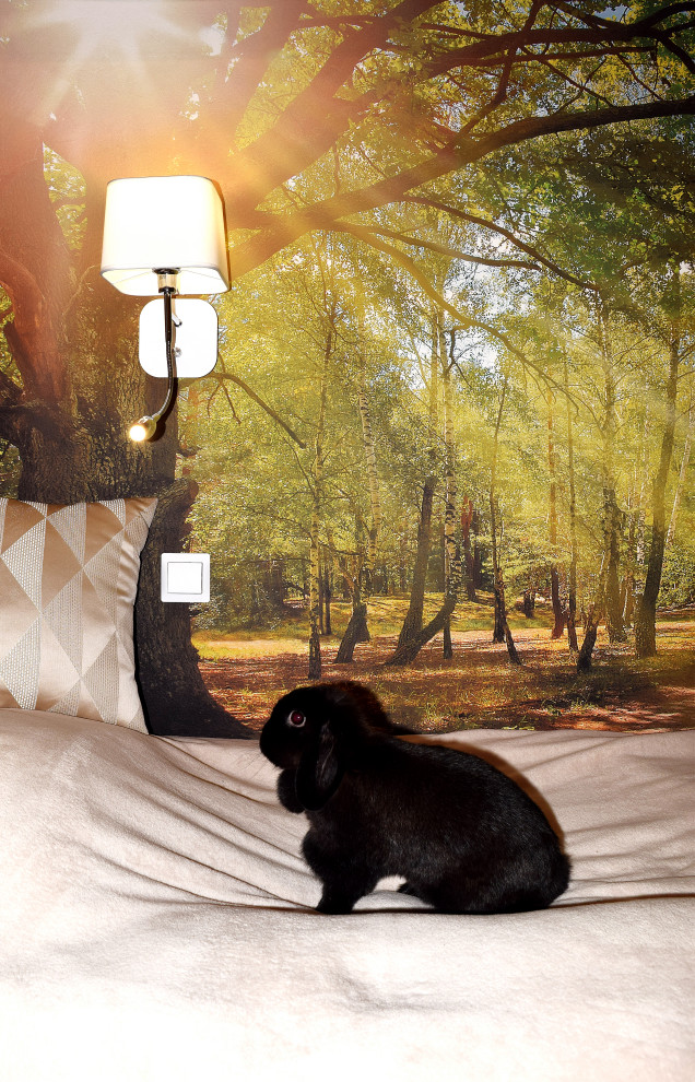 маленькая Вселенная