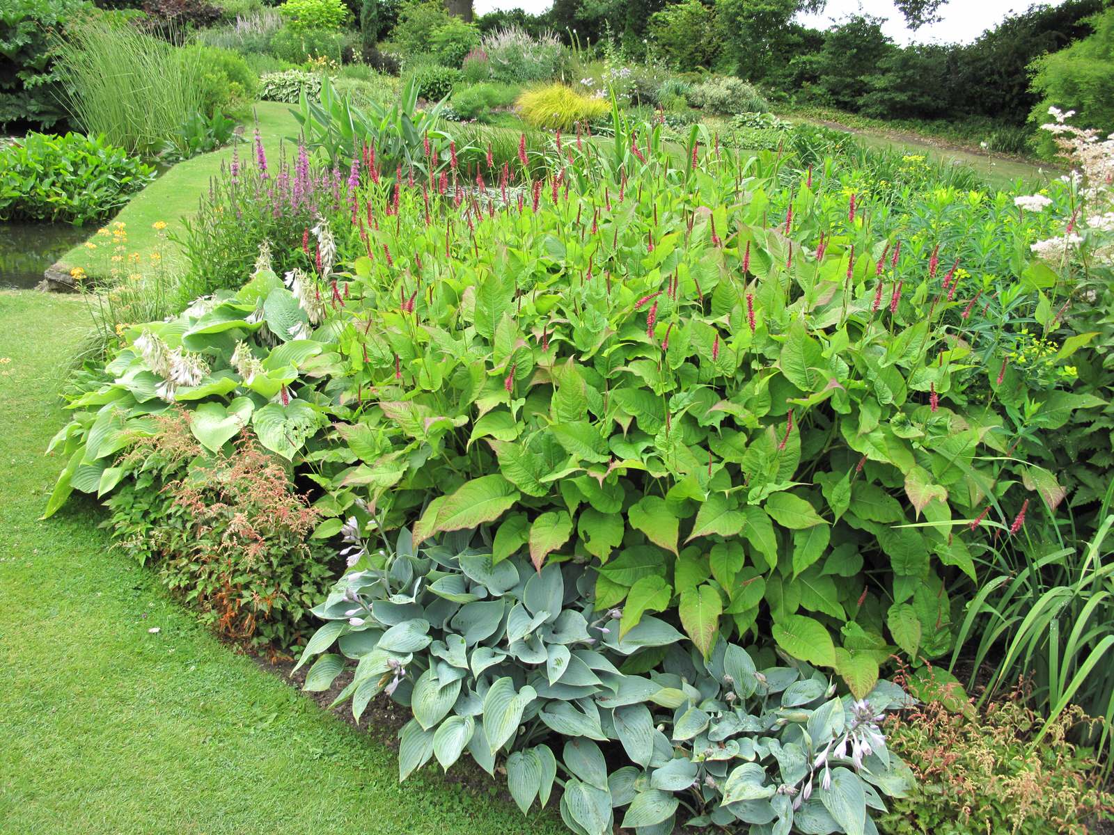 Миксбордер. Основные правила формирования цветочных композиций