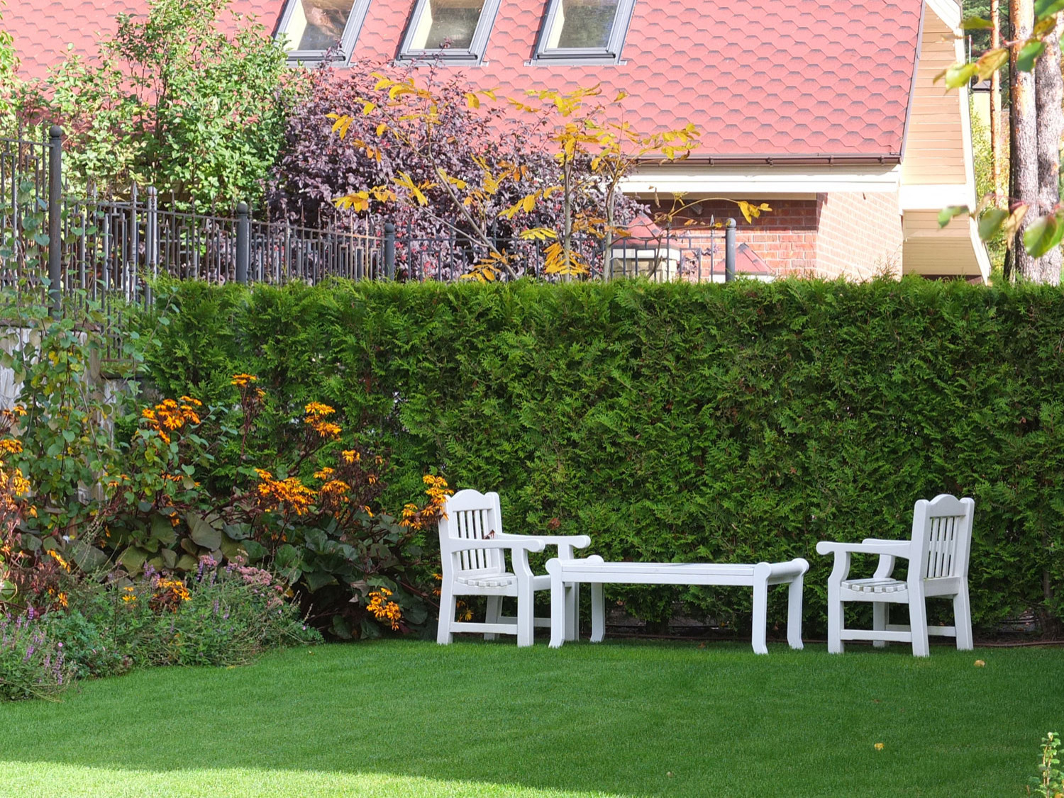 Участок со старой сосной