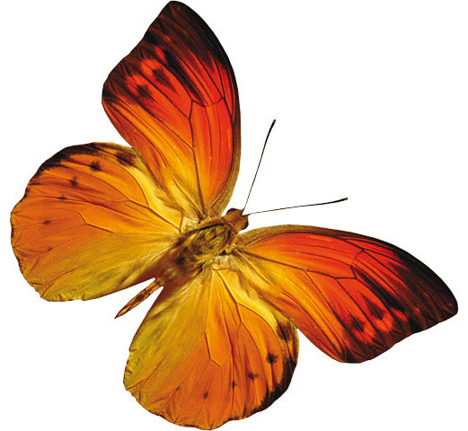 Фотопечать на потолках