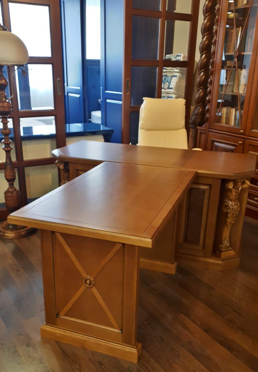 Обложка проекта: Библиотека в классическом стиле с письменным столом и помощником