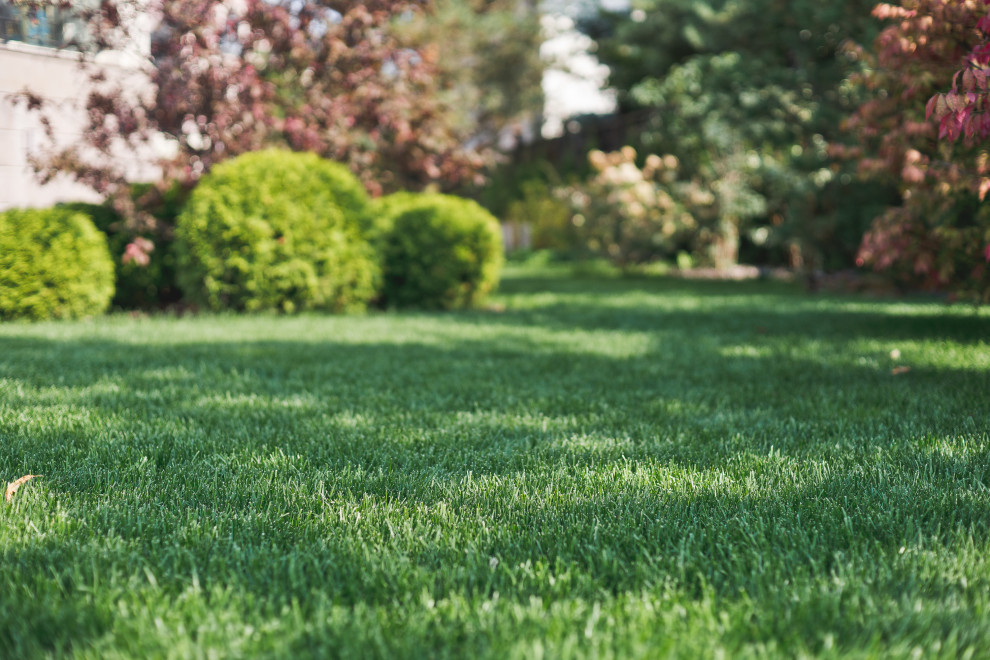 Современный сад на Успенском шоссе